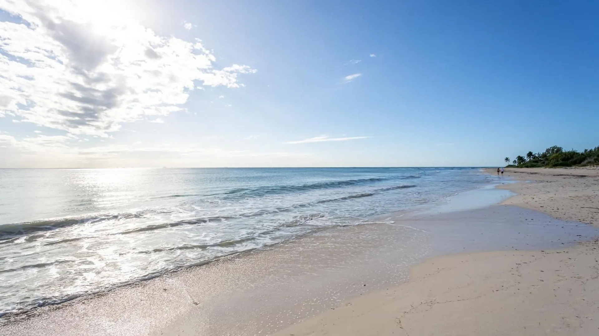 Apartment Casa Amanecer 534N Ocean View Penthouse New !! Apts Playa del Carmen
