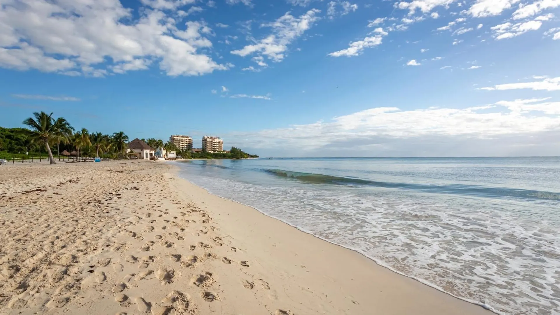 Casa Amanecer 534N Ocean View Penthouse New !! Apts Playa del Carmen 0*,  Mexico