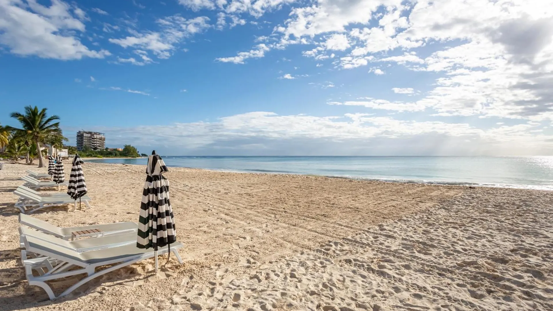 Casa Amanecer 534N Ocean View Penthouse New !! Apts Playa del Carmen Apartment